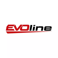 Двигатель бензиновый EVOline GB 1000 E